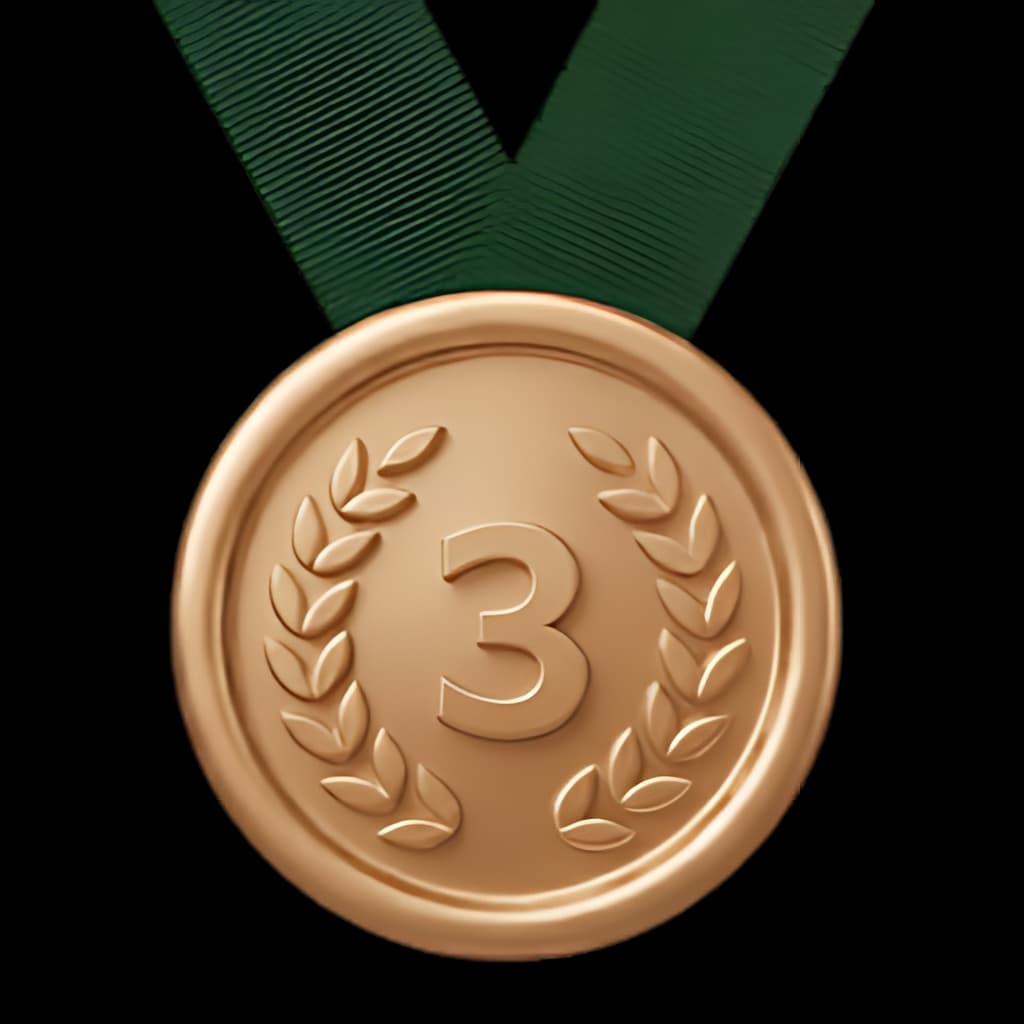 Bronze Medal